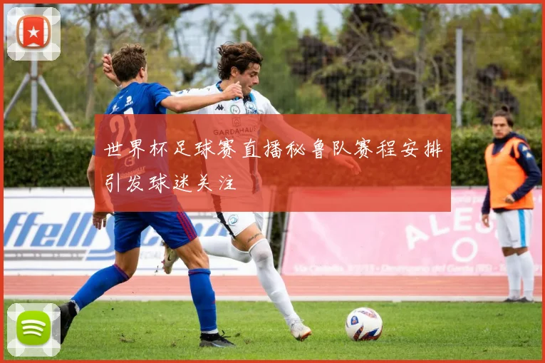 世界杯足球赛直播秘鲁队赛程安排引发球迷关注