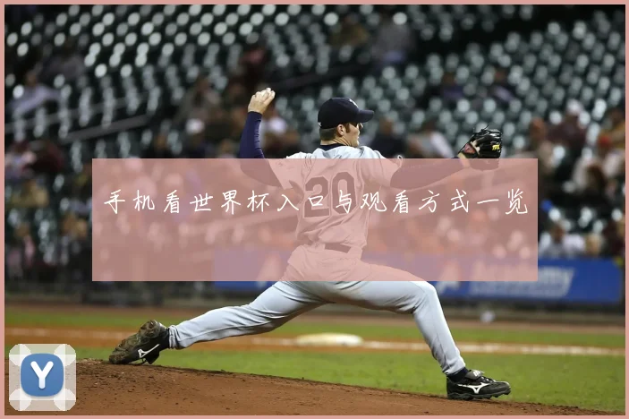 手机看世界杯入口与观看方式一览