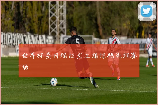 世界杯委内瑞拉女主播惊艳亮相赛场
