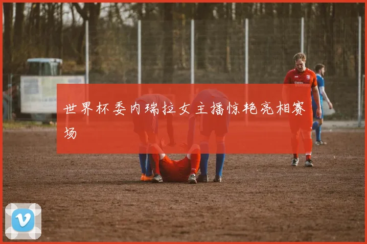世界杯委内瑞拉女主播惊艳亮相赛场
