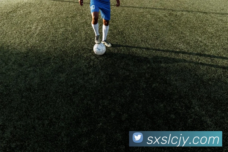 战术分析频道